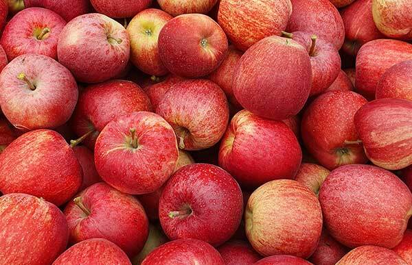 Apfel